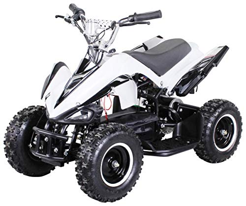 Actionbikes Motors Mini Elektro Kinder Racer 500 Watt ATV Pocket Quad Kinderquad Kinderfahrzeug… (Weiß/Schwarz)