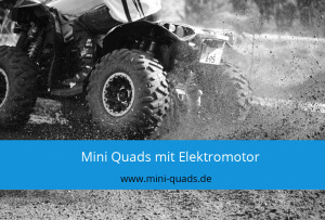 Mini Quad mit Elektromotor